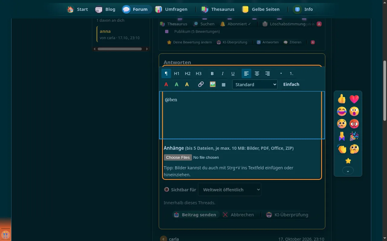 So sieht es aus: Editor